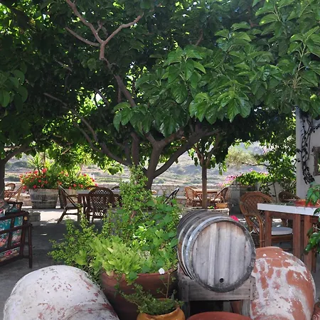 بيت ضيافة Petrino