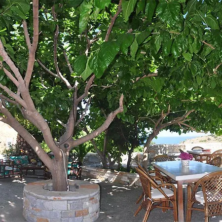 بيت ضيافة Petrino