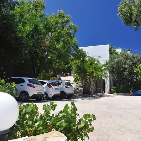 بيت ضيافة Petrino