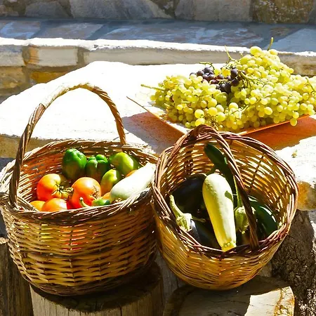 بيت ضيافة Petrino Ambrami