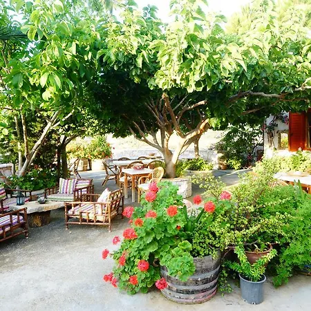 بيت ضيافة Petrino