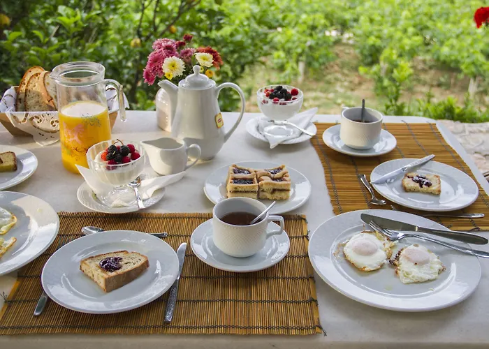 게스트하우스 Petrino 3*