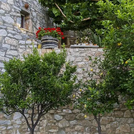 Petrino Guest house